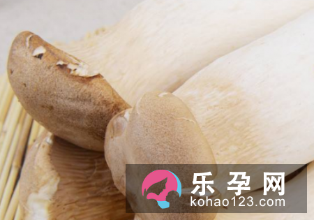 宝宝低烧怎么护理 多大可以吃杏鲍菇
