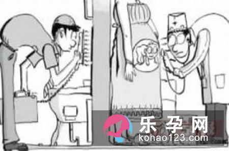 孕妇适合种什么花 房间内摆什么花合适