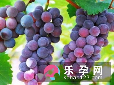 宝宝咳嗽吃什么水果好 能吃木瓜吗