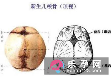 囟门小的孩子有问题吗 如何从囟门观察宝宝的身体状况