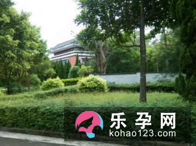 孕妇梦见堕胎是什么意思 是吉兆还是凶兆