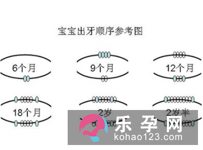 宝宝长牙的顺序 需要多长时间