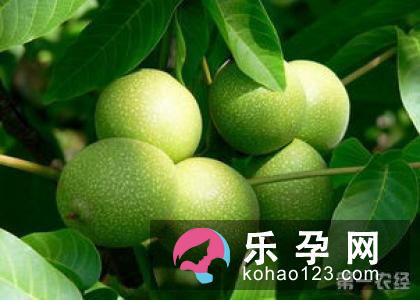 手足口病吃蒲地蓝行吗 喝板蓝根效果好吗