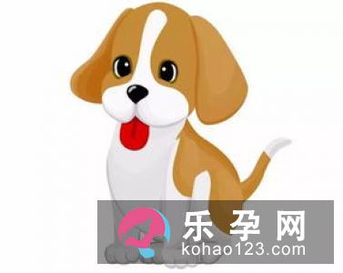 鸡犬升天上一句是什么 是什么生肖
