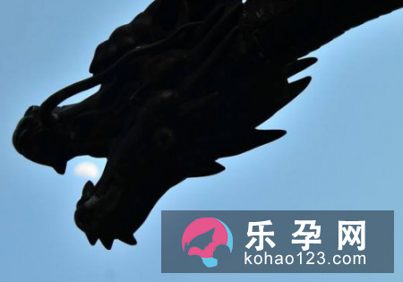 孕妇梦见蛟龙是什么意思 是生男生女