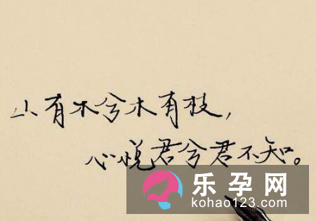 山有木兮木有枝下一句是什么 是什么意思