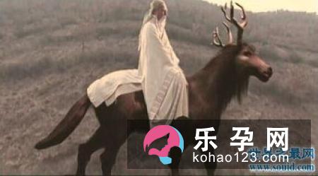 麋鹿为什么被称为四不像 性格比较温和吗