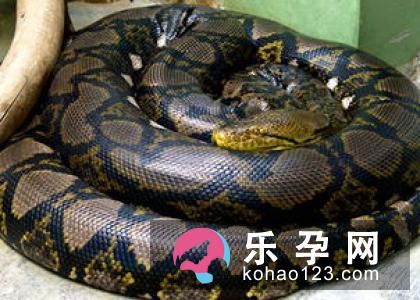 孕妇梦见自己杀人是什么意思 是胎梦吗