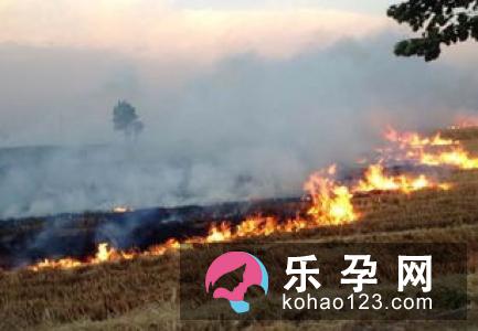 孕妇梦见别人织毛衣是什么意思 是生男生女