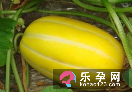 孕妇梦见吃甜瓜是什么预兆?是生男还是生女?中吉心理学