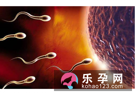 男人精子会用完吗 一生有多少精子