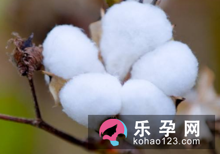 孕妇梦见棉花是什么意思 生儿子还是女儿