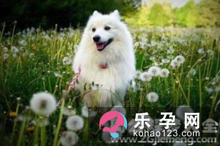 孕妇梦见打架是什么意思 代表胎梦还是运气