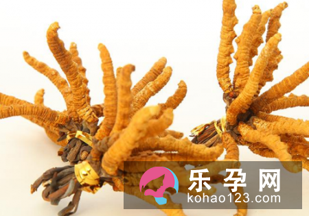 宝宝能吃冬虫夏草吗 感冒拔火罐有用吗