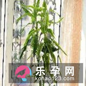 奇！房屋风水能影响生男生女