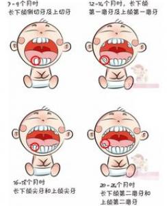 宝宝乳牙萌出的具体时间和顺序 牙缝大究竟好还是坏