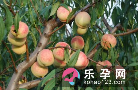 分娩前需考虑分娩方式和地点