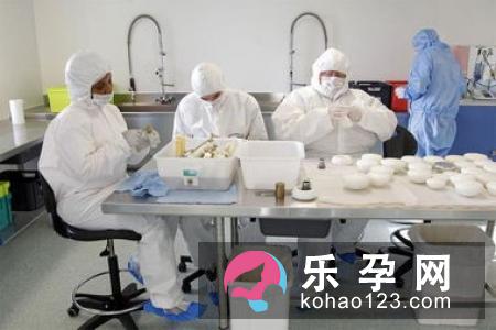 女性正常分娩生产的过程
