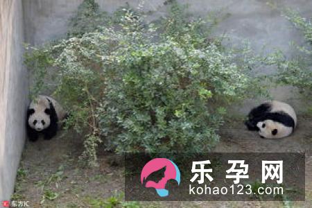 怀上双胞胎宝宝该注意什么