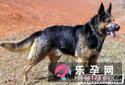 孕妇梦见打架是什么意思 代表胎梦还是运气