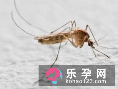 孕妇梦到虫子代表什么 是胎梦吗
