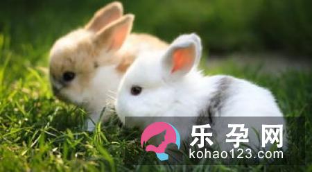 孕妇梦到虫子代表什么 是胎梦吗