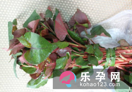 鱼腥草可以给宝宝洗澡吗 怎么洗
