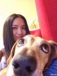 曝！养猫的女性更容易生儿子