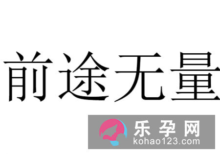 未知尚有多少路打一成语 前途无量是什么意思