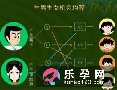 生男生女的三大秘诀