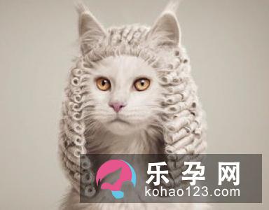 娓怎么读 娓娓动听是什么动物