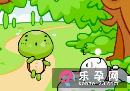 孕妇梦见龟是什么意思 是生儿子还是女儿