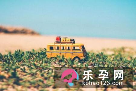 梦见小麦是什么意思 财运事业爱情运气怎么样