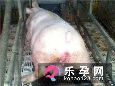 超过30岁之后的分娩果真会难产吗?