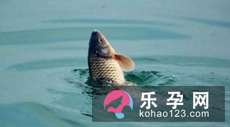 孕妇梦见水蛇是什么意思 是生男生女
