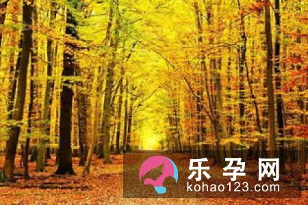 梦见小麦是什么意思 财运事业爱情运气怎么样