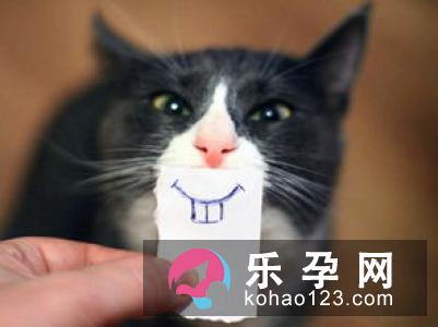 大熊猫的智商高吗相当于多少岁 为什么喜欢抱人大腿