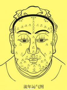 男人生男生女面相主要看眉