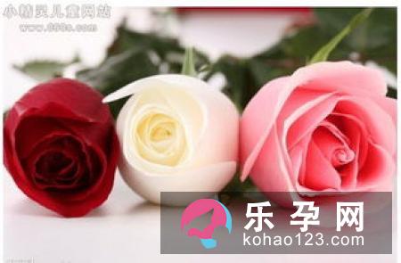 孕妇梦见水仙花是什么意思–安居客房产问答