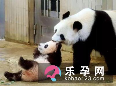 娓怎么读 娓娓动听是什么动物