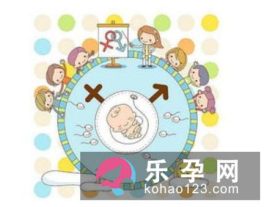 生男生女 父亲的基因可决定
