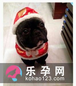 孕妇长智齿要疼多久 发炎肿痛难忍怎么办