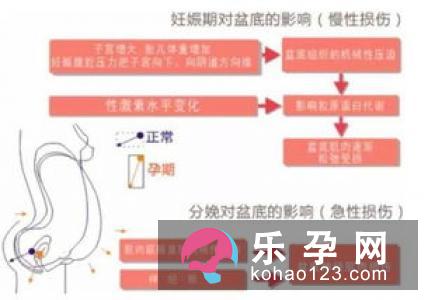 选择剖腹产前需考虑的九要素