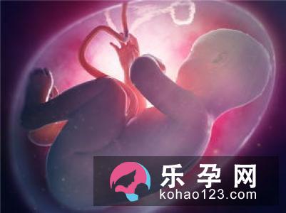 羊水的七个常识 你了解吗？