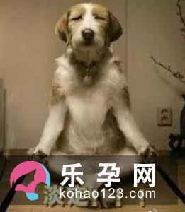 准妈妈想生男宝宝记住这9大招数