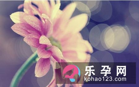 孕妇梦见兰花是什么意思