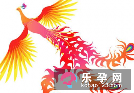 孕妇梦见凤凰是什么意思 是生男孩还是女孩