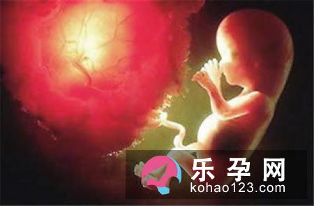 胎位不正怎么办_胎儿不正能自然分娩吗到了孕中期胎宝宝在母体里开始了