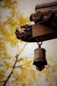 孕妇梦见水仙花是什么意思–安居客房产问答