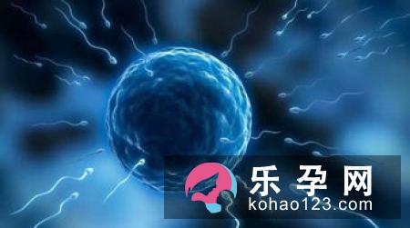 到底生男生女是由什么因素所决定